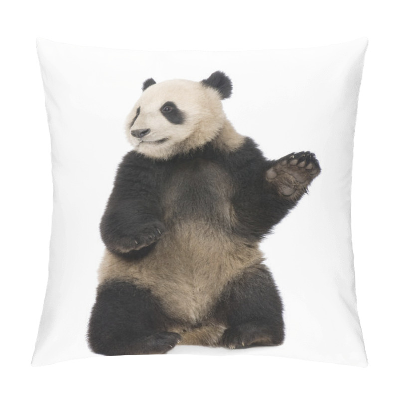 Personality  Giant Panda (18 Months) - Ailuropoda Melanoleuca Pillow Covers