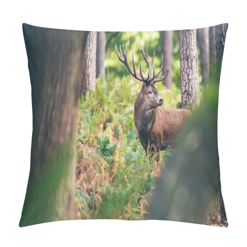 Personality  Deer In Autumn Forest Pillow Covers