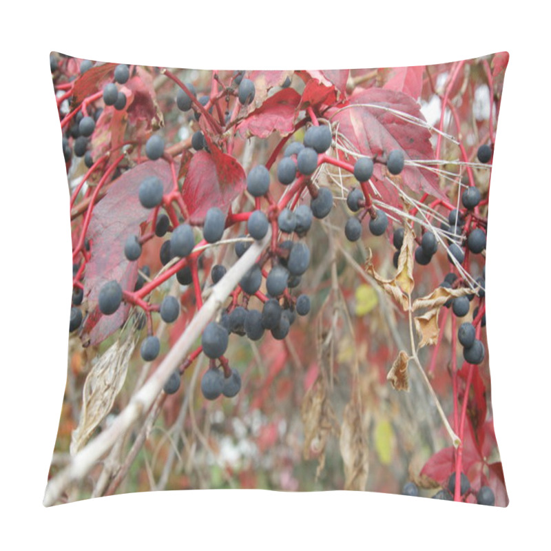 Personality  Virginia Creeper With Berries Pillow Covers