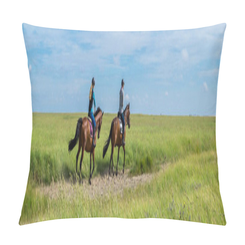 Personality  Horse Riding In The Salt Marshes Of The North Sea Pillow Covers