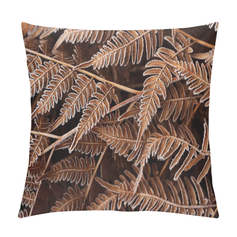 Personality  Autumn Fern Pattern Pillow Covers