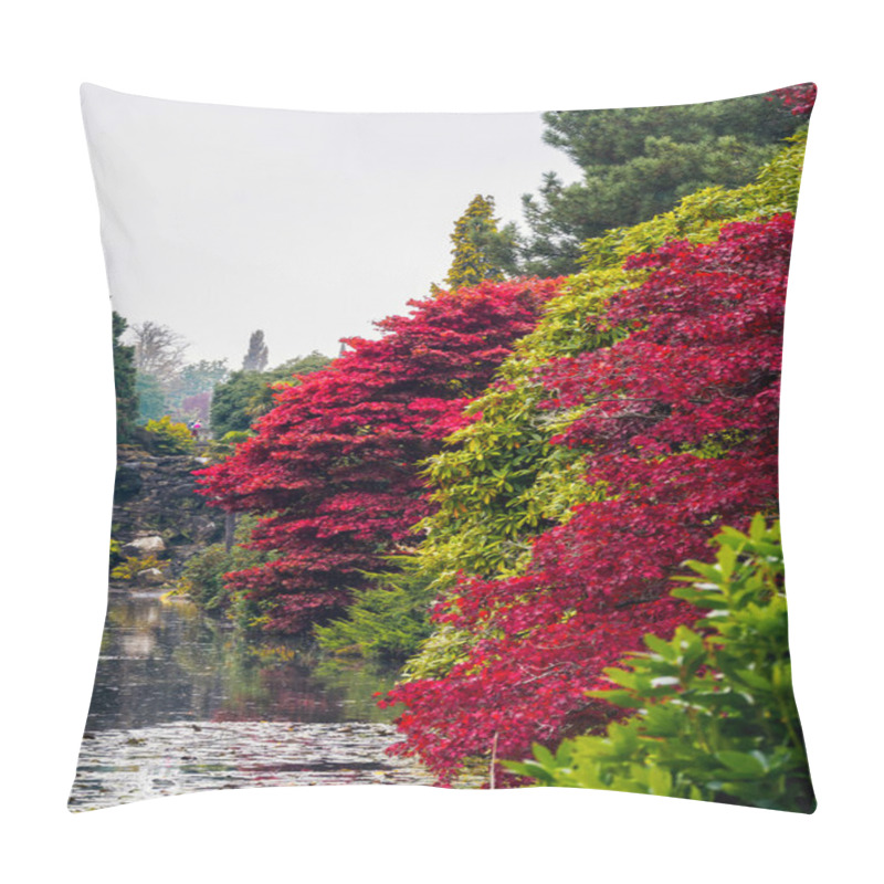 Personality  Acer Tree Leaves Changing Colour In Autumn Pillow Covers