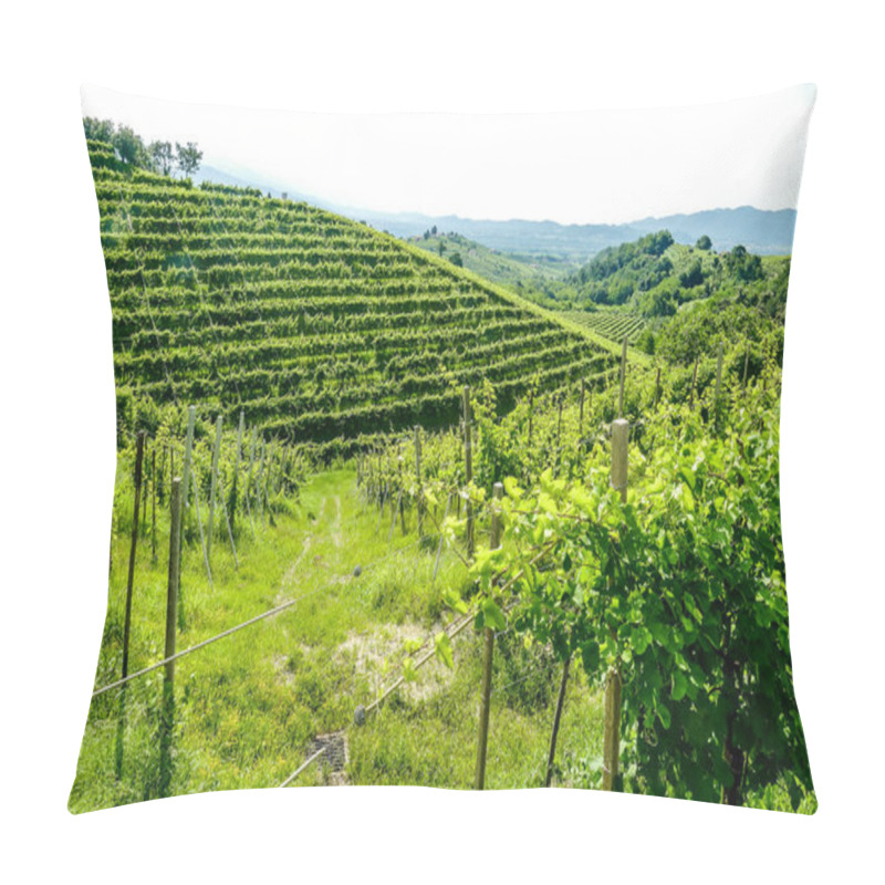 Personality  Vineyard In Provence France, Beautiful Photo Digital Picture Pillow Covers