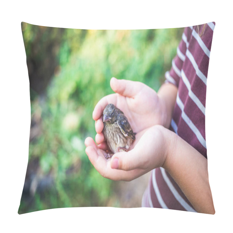 Personality  The Little Bird That Fell From The Nest In The Hands Of A Child. Pillow Covers