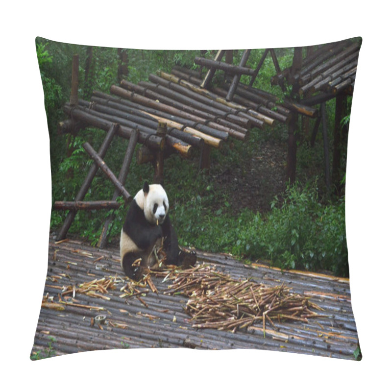 Personality  Panda Bear: Arguably The Icon Of Chengdu, Or Even Sichuan Provin Pillow Covers