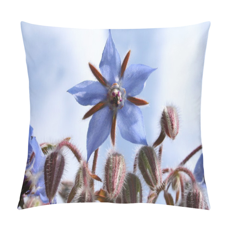 Personality  Starflower Pillow Covers