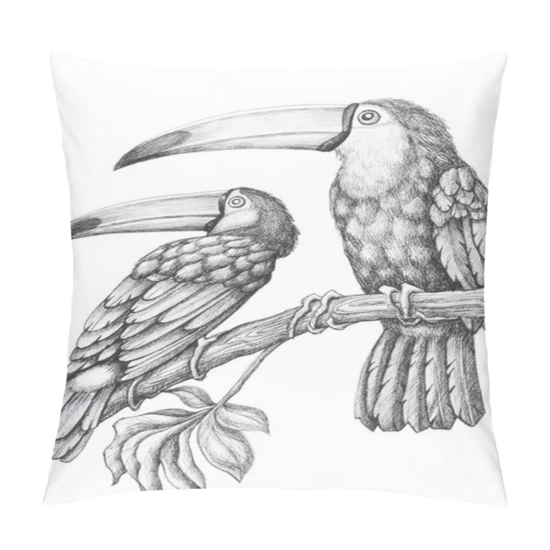 Personality  Toucans Birds Isolate Object White Background Pillow Covers