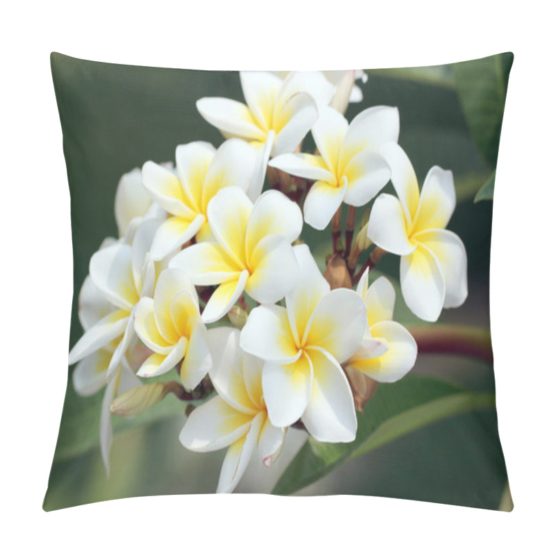 Personality  Bouquet Of Yellow Plumeria Or Frangipani Flower. Pillow Covers