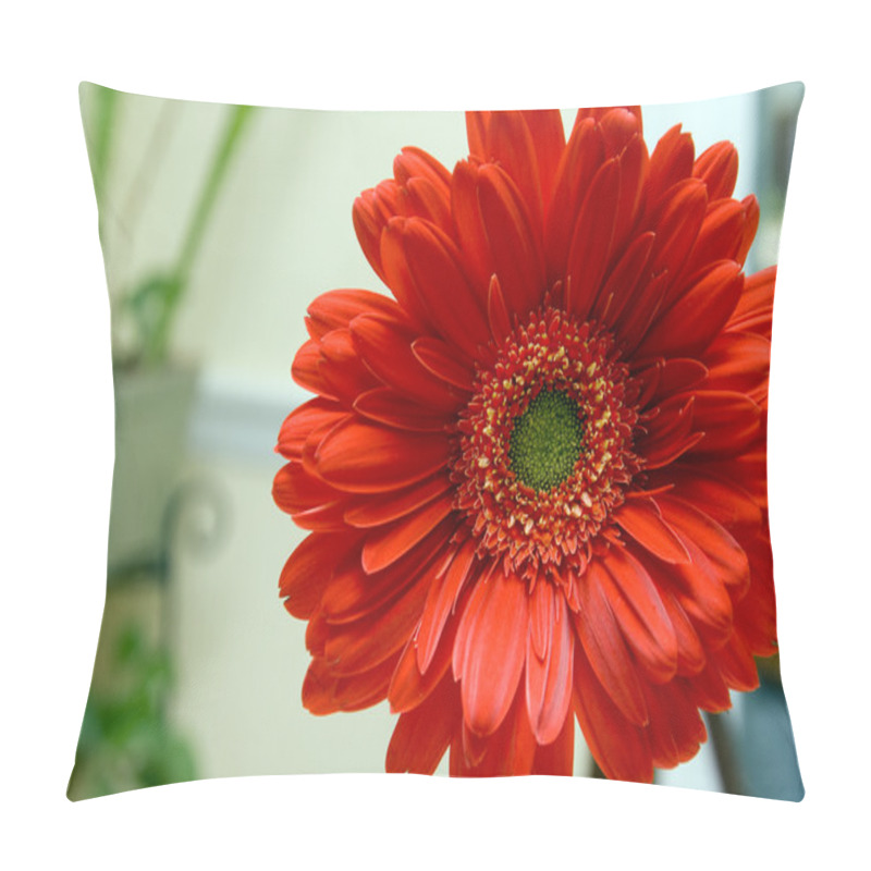 Personality  Red Gerbera Daisy Pillow Covers