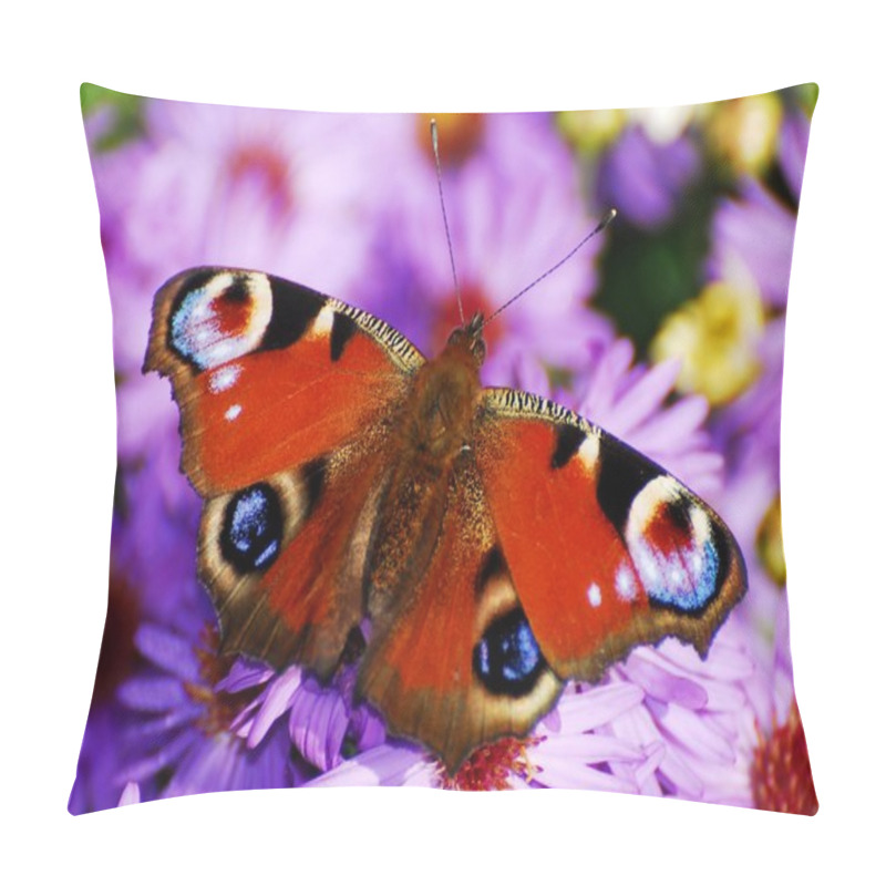 Personality  Butterfly Pillow Covers