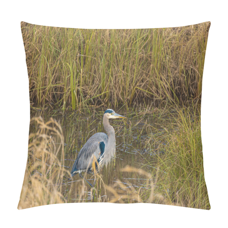 Personality  Great Blue Heron. This Beautiful Bird Hunts In The Water Along The Banks Of The River. Great Blue Heron At The Lake. Nobody, Selective Focus Pillow Covers