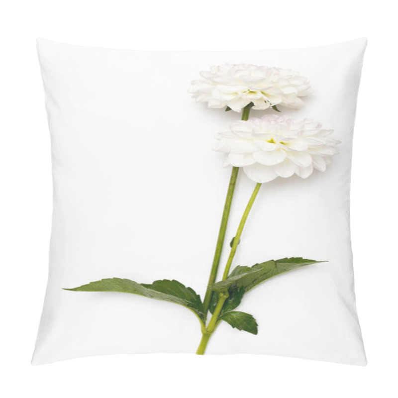 Personality  Two White Autumn Dahlias Isolated On White Background. Copy Space. Pillow Covers