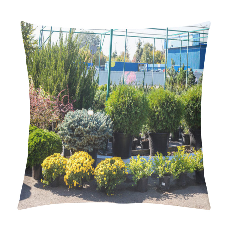 Personality  Bushes Flowers And Coniferous Trees In The Nursery. Art Landscape Design Pillow Covers