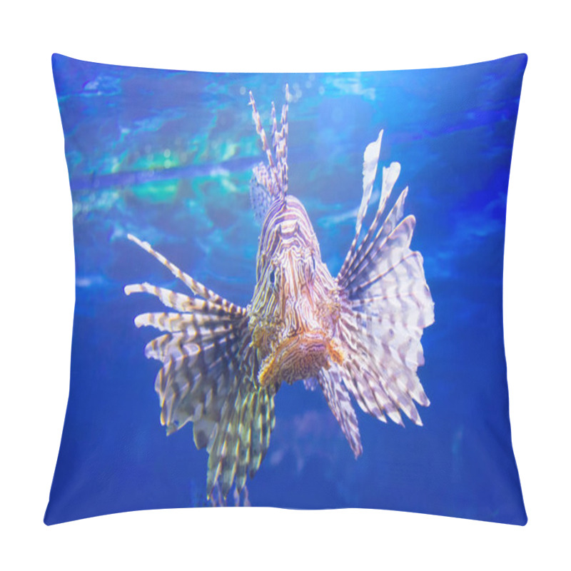 Personality  Dangerous Lionfish Zebra Fish In The Indian Ocean Water Pillow Covers