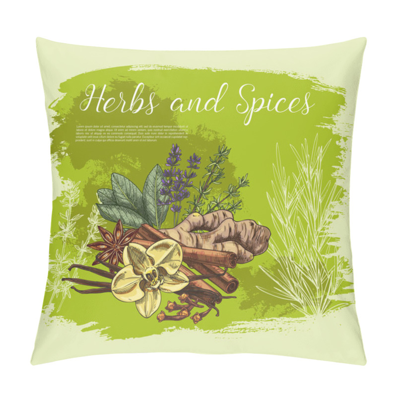 Personality  Herb And Spice Sketch Poster, Healthy Food Design Pillow Covers