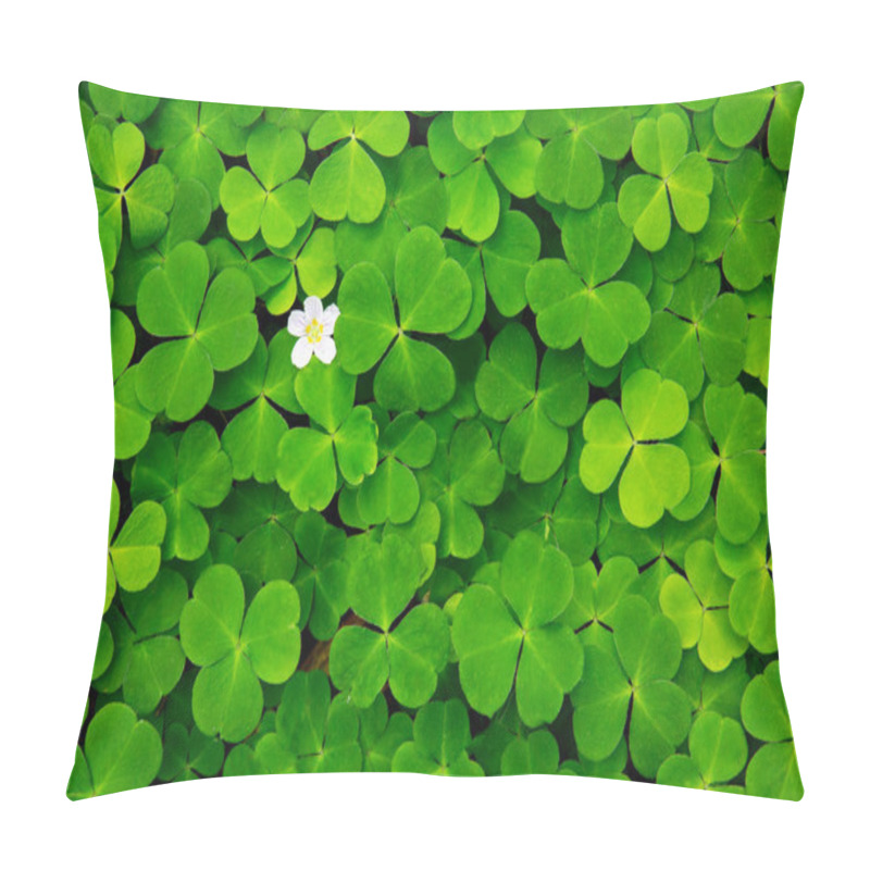 Personality  Green Clover Leaves Background. Pillow Covers