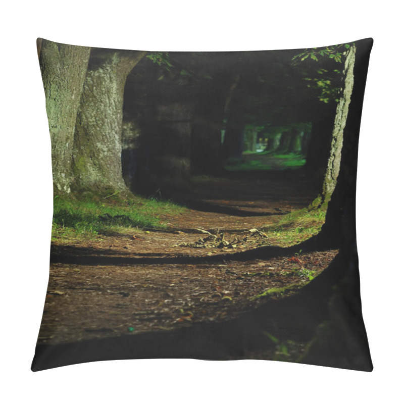 Personality  Forest Road In Autumn Pillow Covers