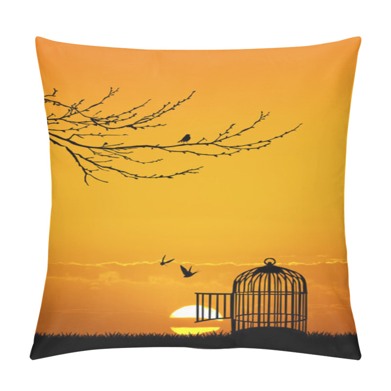 Personality  Cage For Birds At Sunset Pillow Covers