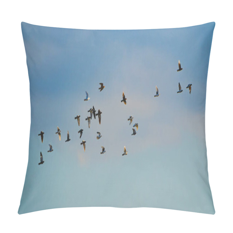 Personality  Silhouettes Of A Group Of Domesticated Pigeons In Flight Pillow Covers