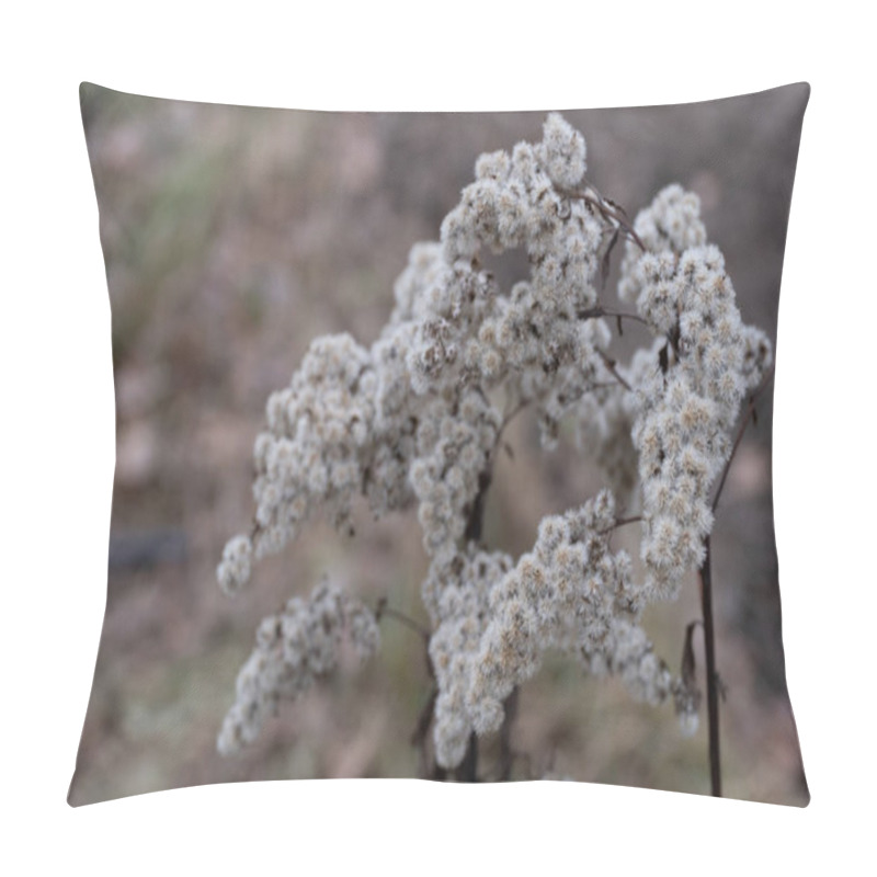 Personality  A Soft Focus Photograph Of Dried White Wildflowers In A Natural Setting. The Intricate Clusters Of Fluffy Seed Heads Give An Ethereal And Delicate Feel. Perfect For Illustrating Themes Of Nature Pillow Covers