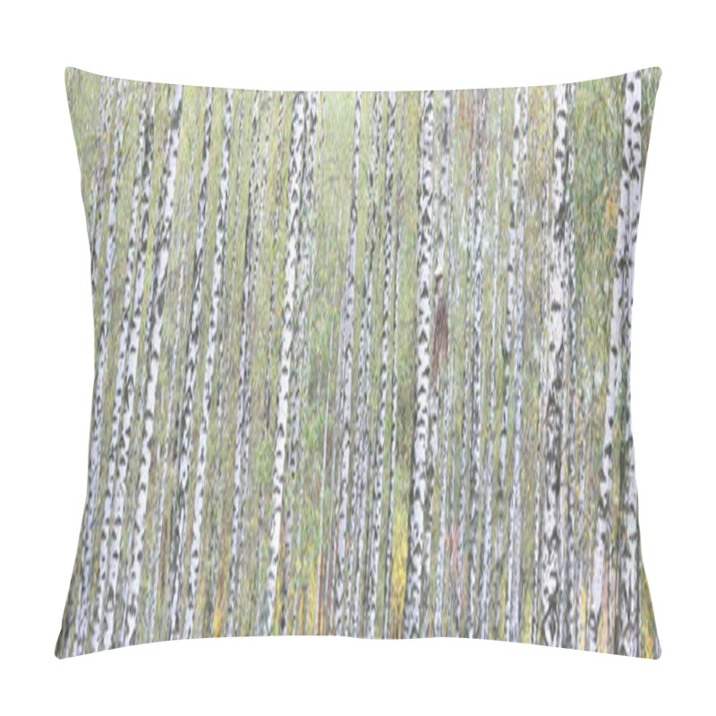 Personality  Beautiful Scene With Birches In Yellow Autumn Birch Forest In October Among Other Birches In Birch Grove Pillow Covers