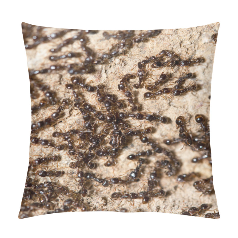 Personality  Nature Pillow Covers