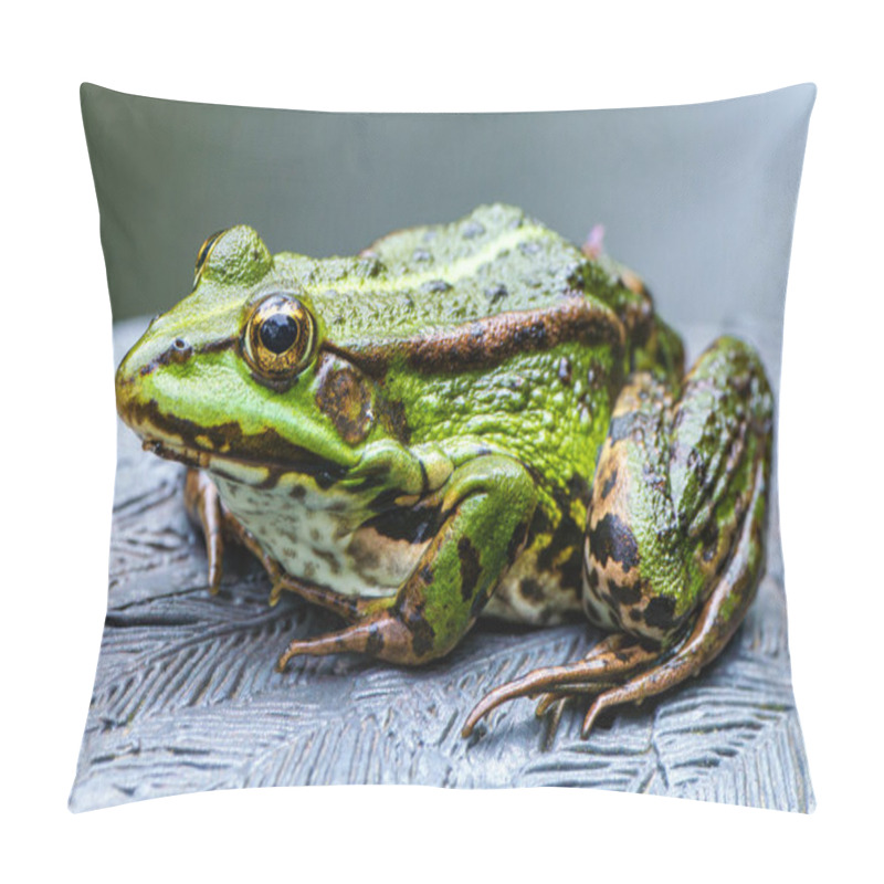 Personality  A Vibrant Green Frog Is Perched Gracefully On A Beautifully Textured Surface, Showcasing Its Unique Patterns Vividly Pillow Covers