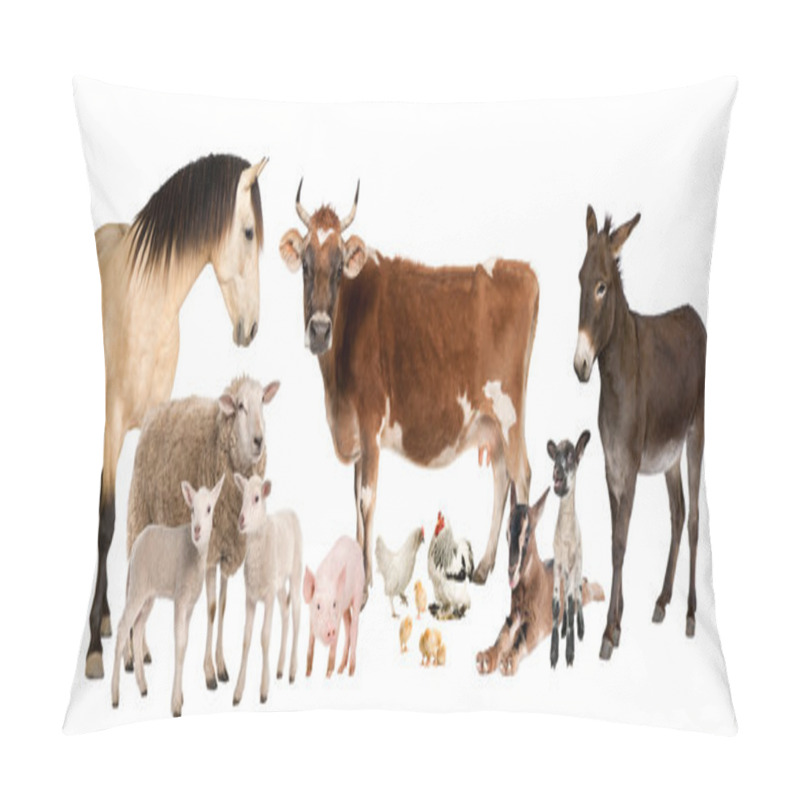 Personality  Group Of Farm Animals : Cow, Sheep, Horse, Donkey, Chicken, Lamb Pillow Covers