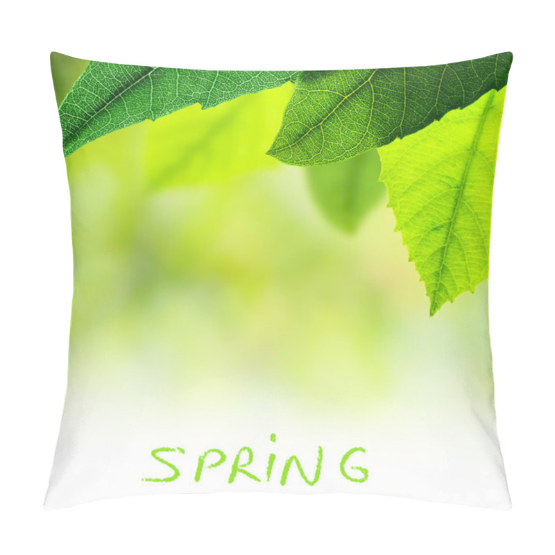 Personality  Abstract Natural Border Pillow Covers