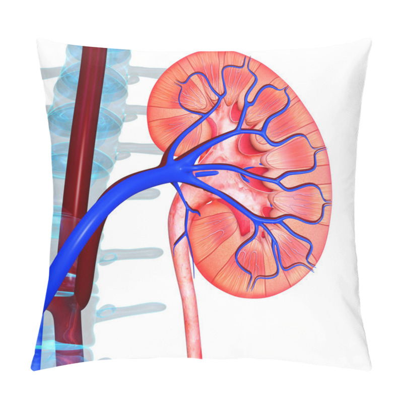 Personality  Kidneys Pillow Covers