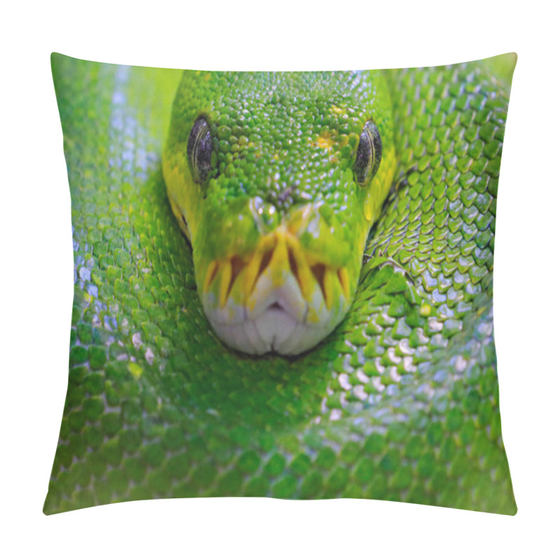 Personality  Close Up Of Green Tree Python In Forest Habitat Pillow Covers