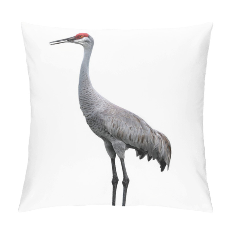 Personality  Sandhill Crane Bird - Grus Canadensis - Close-up Standing Profile View Showing Orange Eye, Red Head Cap, Great Grey Feather Detail Isolated Cutout On White Background Pillow Covers