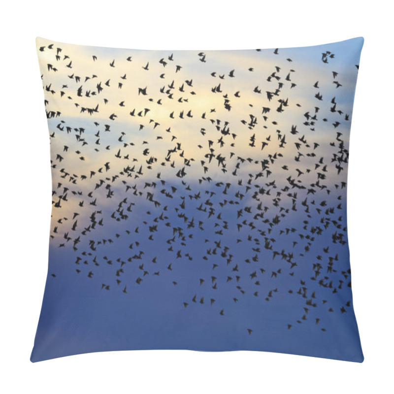 Personality  Flock Of Starlings In The Evening Sky Pillow Covers