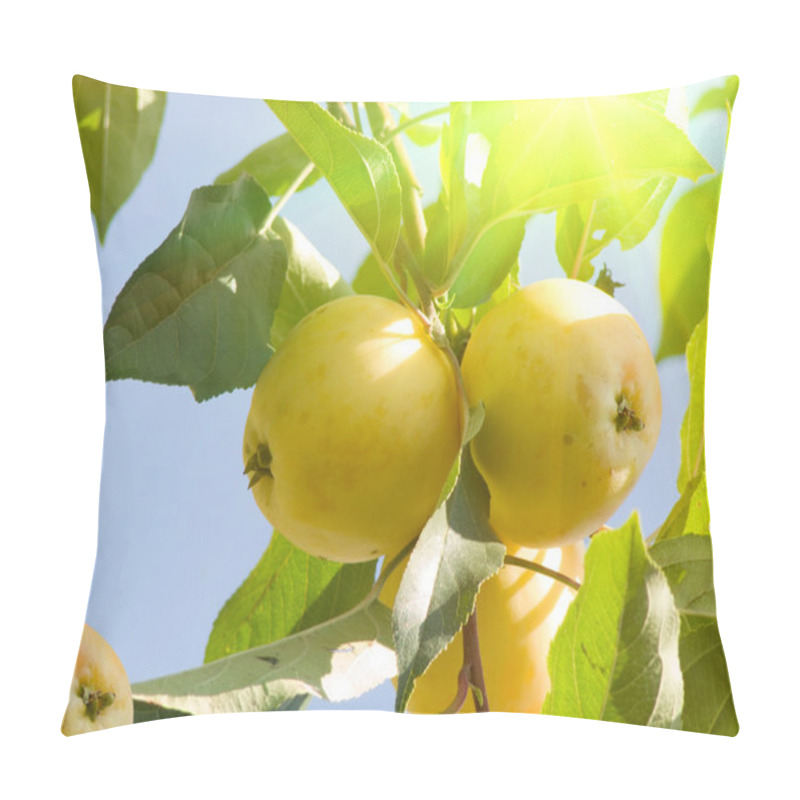 Personality  Apples Tree Pillow Covers