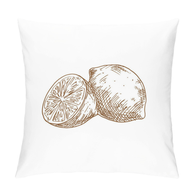 Personality  Lemon Fruit Sketch. Vector Isolated Whole Organic Natural Lemon Or Lime Citrus Fruit Pillow Covers