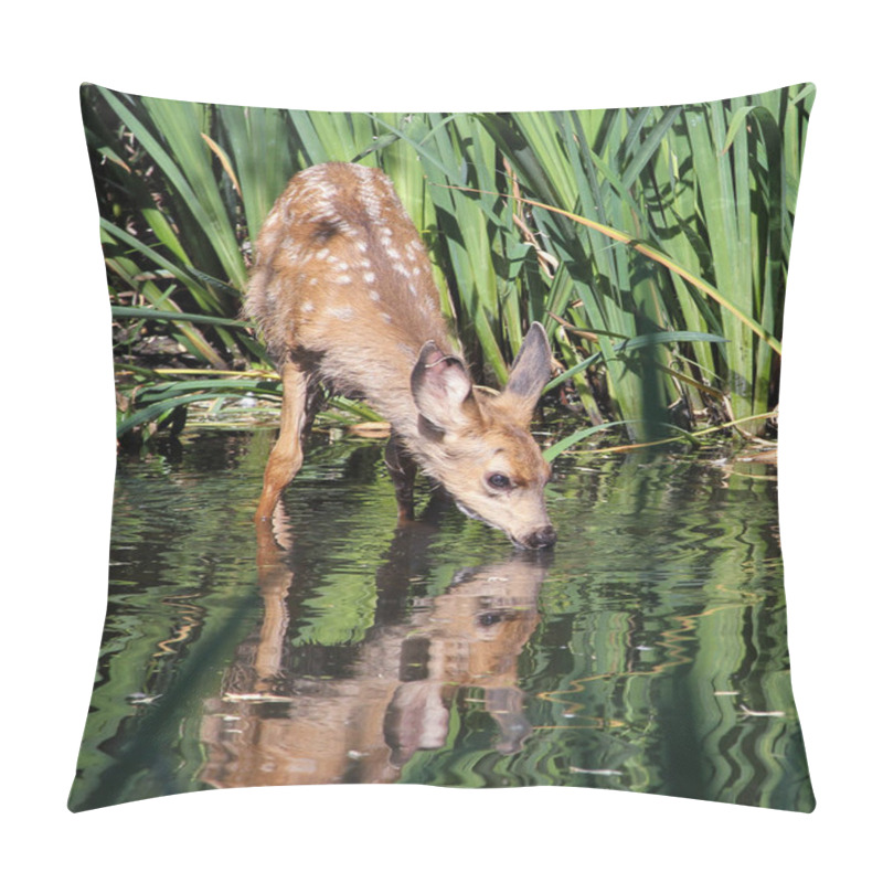 Personality  A Cute Baby Deer Drink Water  Pillow Covers