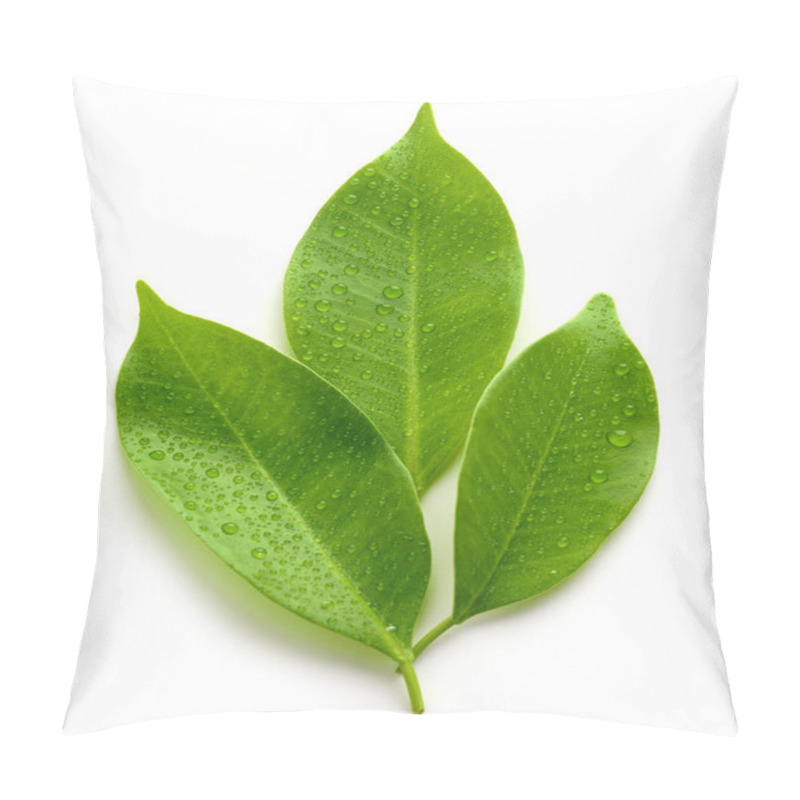 Personality  Fresh Wet Leaves Isolated On White Background, Top View Pillow Covers