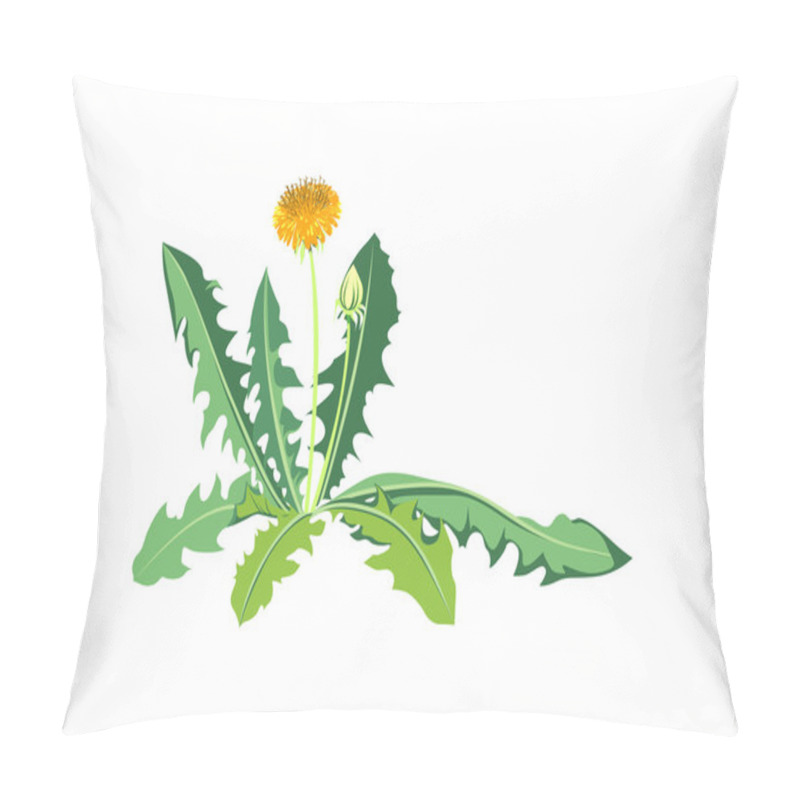 Personality  Flowers Dandelions With Green Leaves Pillow Covers