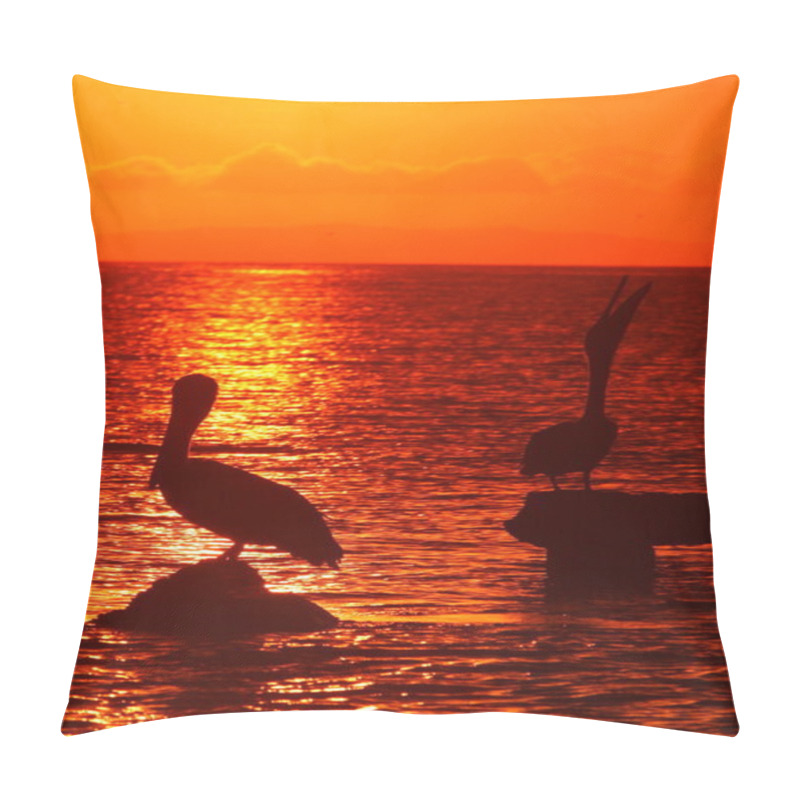 Personality  Two Pelicans Sitting On Stones In Sea Pillow Covers