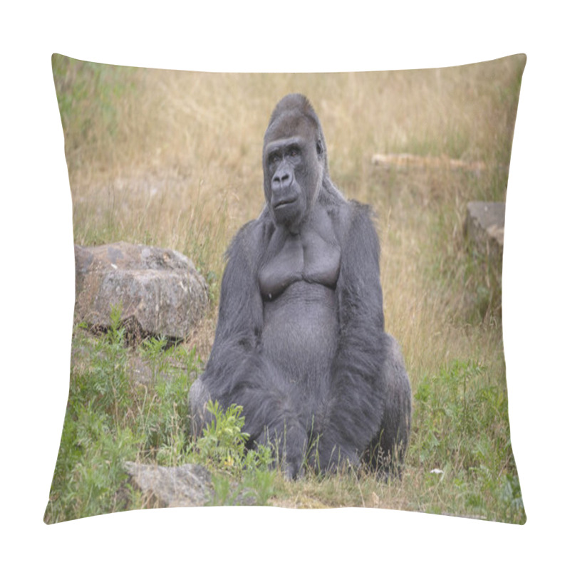 Personality  Silverback Gorilla Portrait In Natural Habitat  Pillow Covers