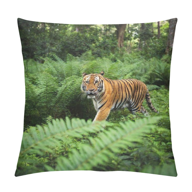 Personality  Animals Moving Through Jungle Underbrush: High-angle Shot Showing A Small Group Of Animals, Like Monkeys Or Tigers, Moving Through Thick Jungle Underbrush And Ferns. Pillow Covers