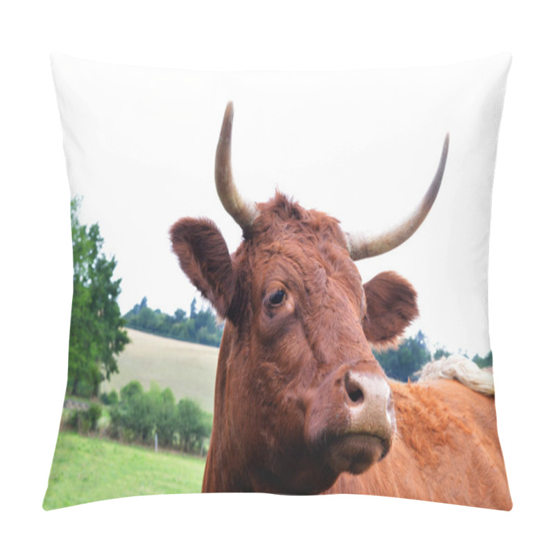 Personality  French Mountain Cow (Auvergne) Pillow Covers