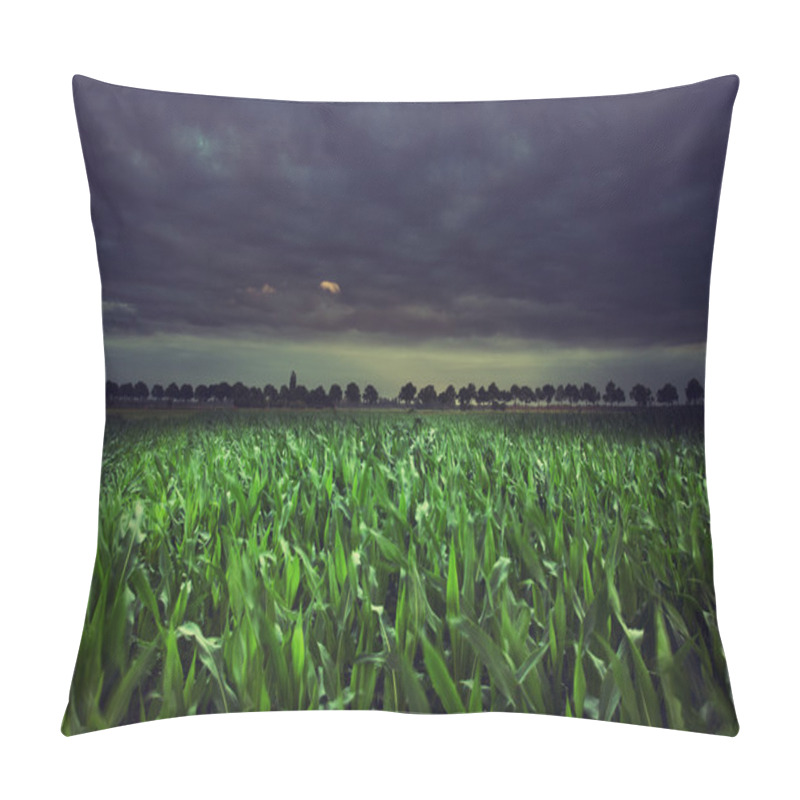 Personality  Night Cornfield Pillow Covers