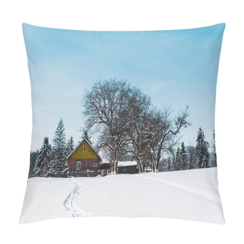 Personality  Small Village In Carpathian Mountains Near Forest With Traces On Snow Pillow Covers