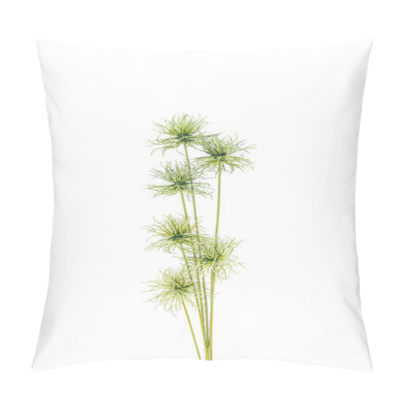 Personality  Elevated View Of Green Tropical Plant Isolated On White, Miimalistic Concept Pillow Covers