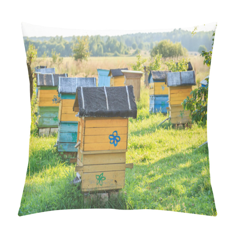 Personality  Summer Apiary With Several Hives Pillow Covers