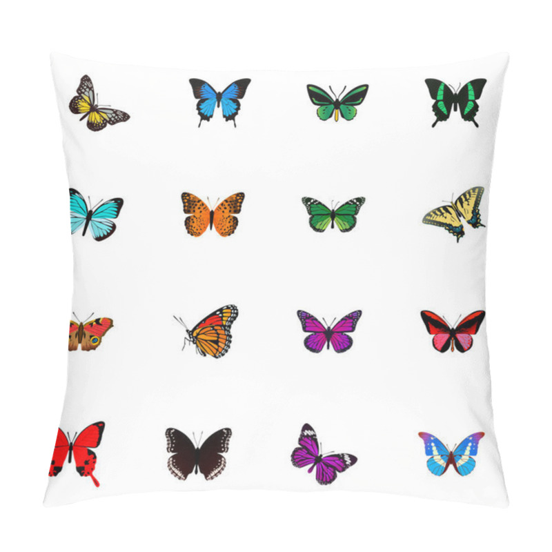 Personality  Set Of Butterfly Realistic Symbols With Agrias Claudina, Precis Almana, Monarch And Other Icons For Your Web Mobile App Logo Design. Pillow Covers