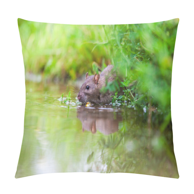 Personality  Nature Whit Rat Pillow Covers