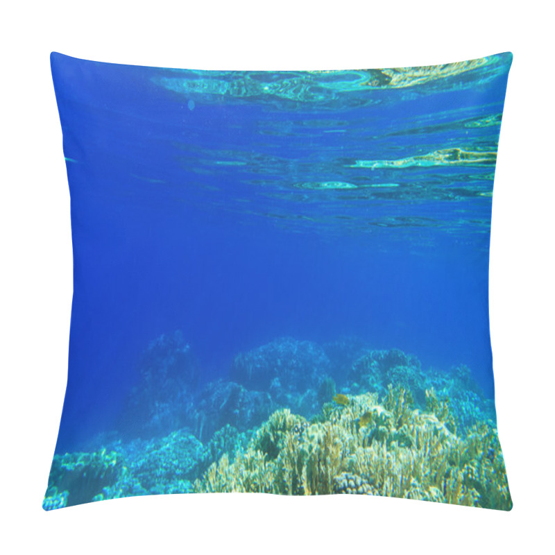 Personality  Tranquil Underwater Scene Pillow Covers