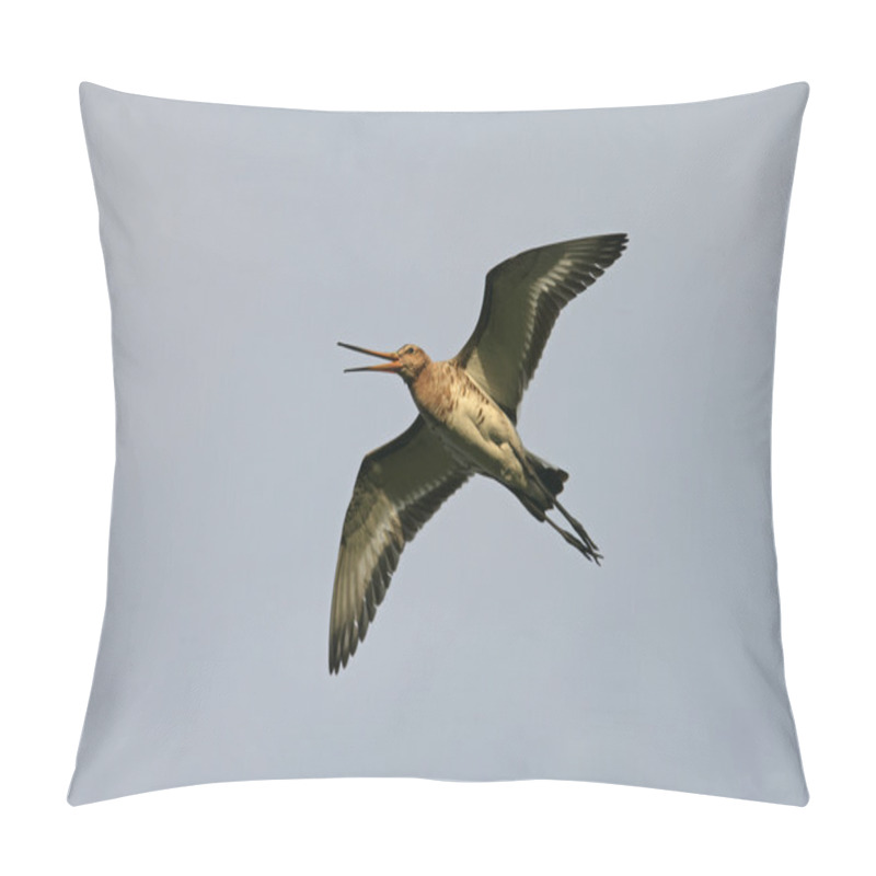 Personality  Black-tailed Godwit, Limosa Limosa Pillow Covers